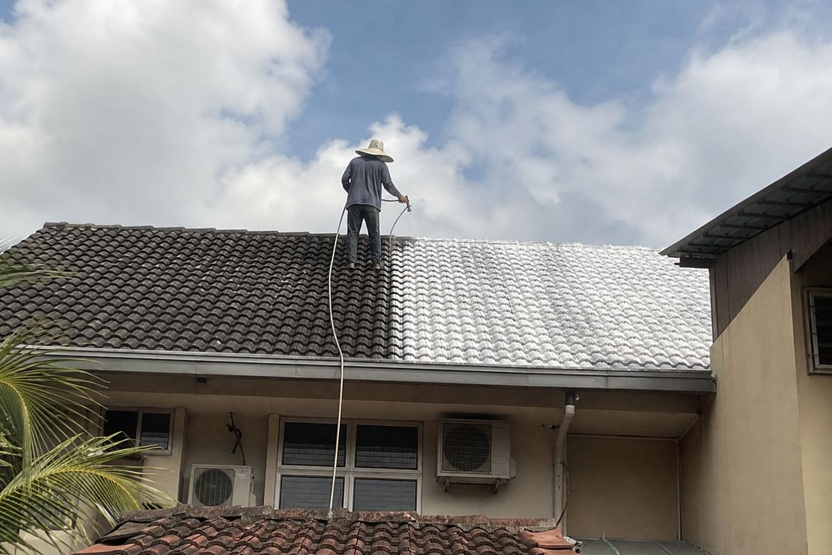 Roof Coating & Painting
