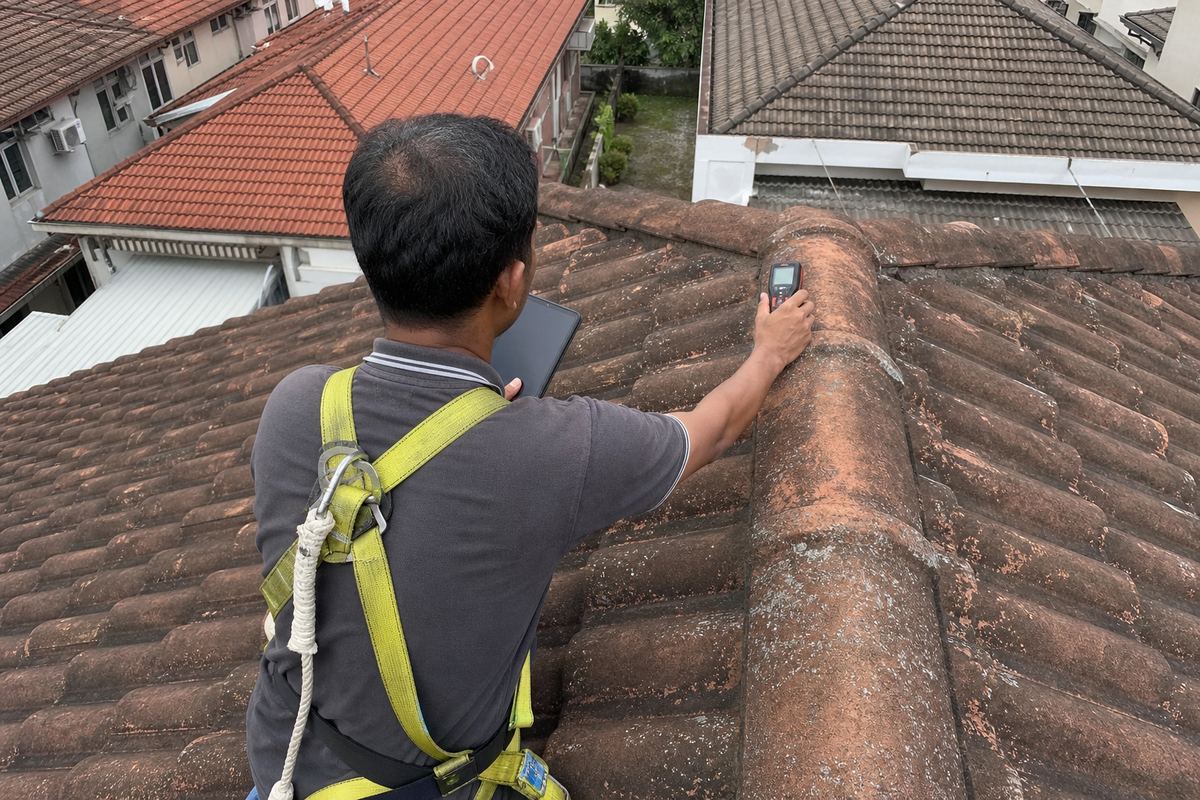 Free inspection